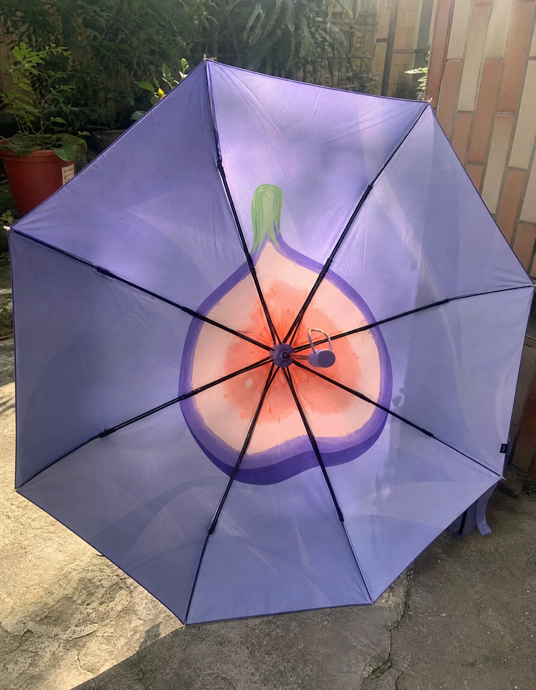 雨伞